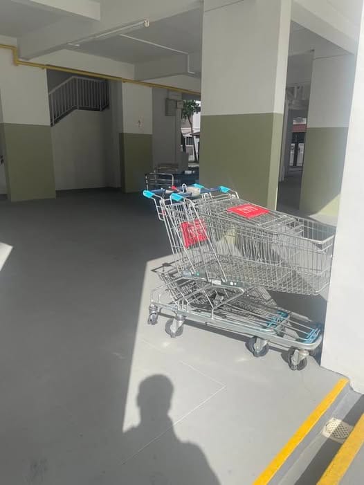 Singapore’s Most Annoying Habits